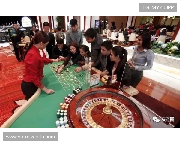 菲律宾网上赌场的法律法规与监管措施全面解析